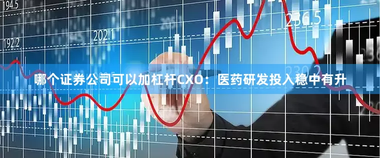 哪个证券公司可以加杠杆CXO：医药研发投入稳中有升