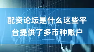 配资论坛是什么这些平台提供了多币种账户