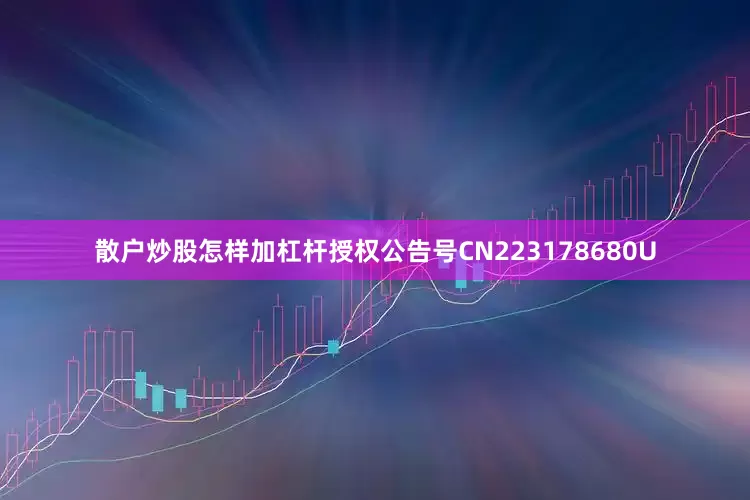散户炒股怎样加杠杆授权公告号CN223178680U