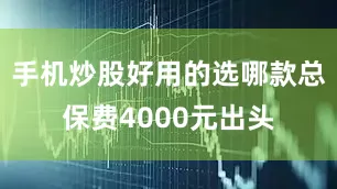 手机炒股好用的选哪款总保费4000元出头